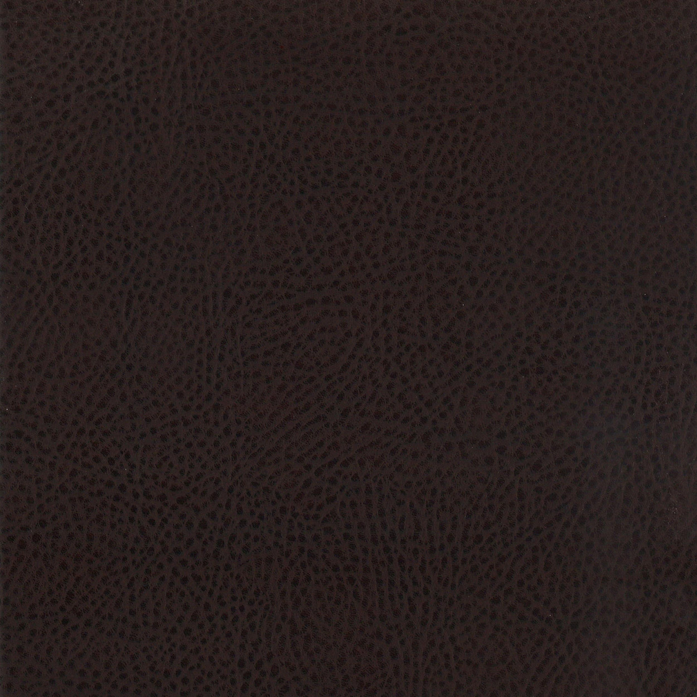 Dewey Upholstered Counter Chair Walnut (Set of 2)