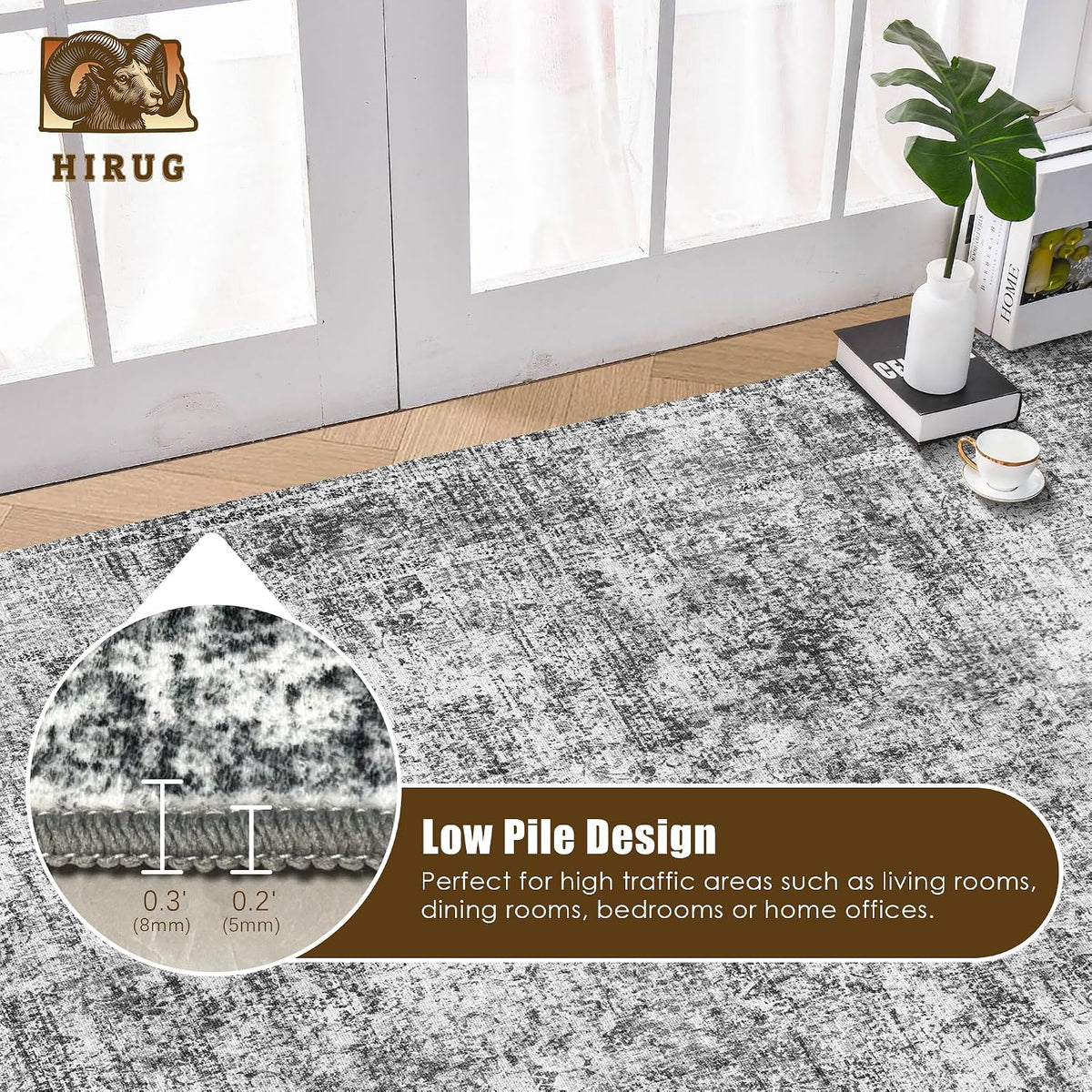 Salvator Rug
