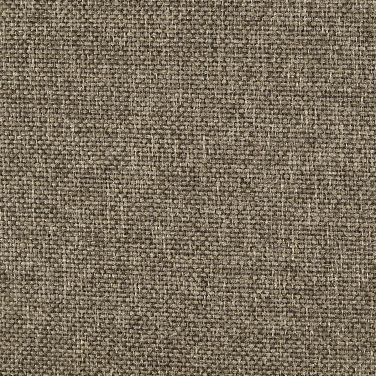Wilkes Beds