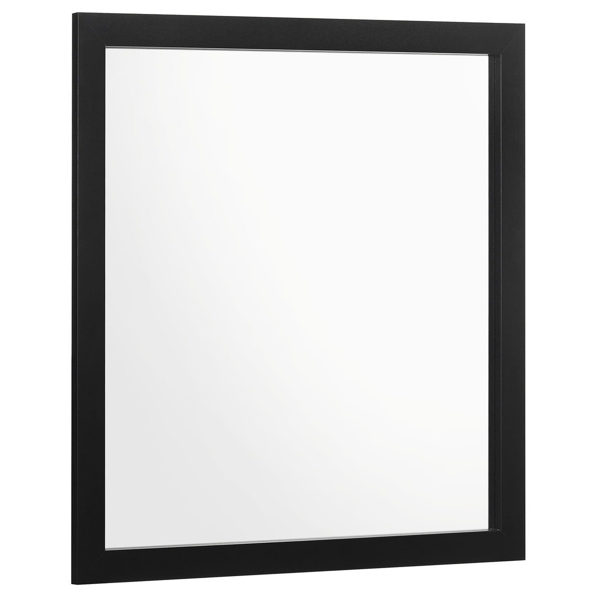 Kendall Dresser Mirrors