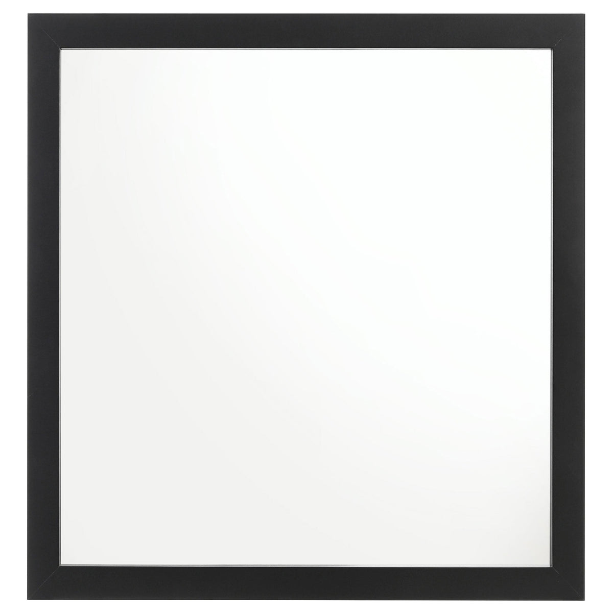 Kendall Dresser Mirrors