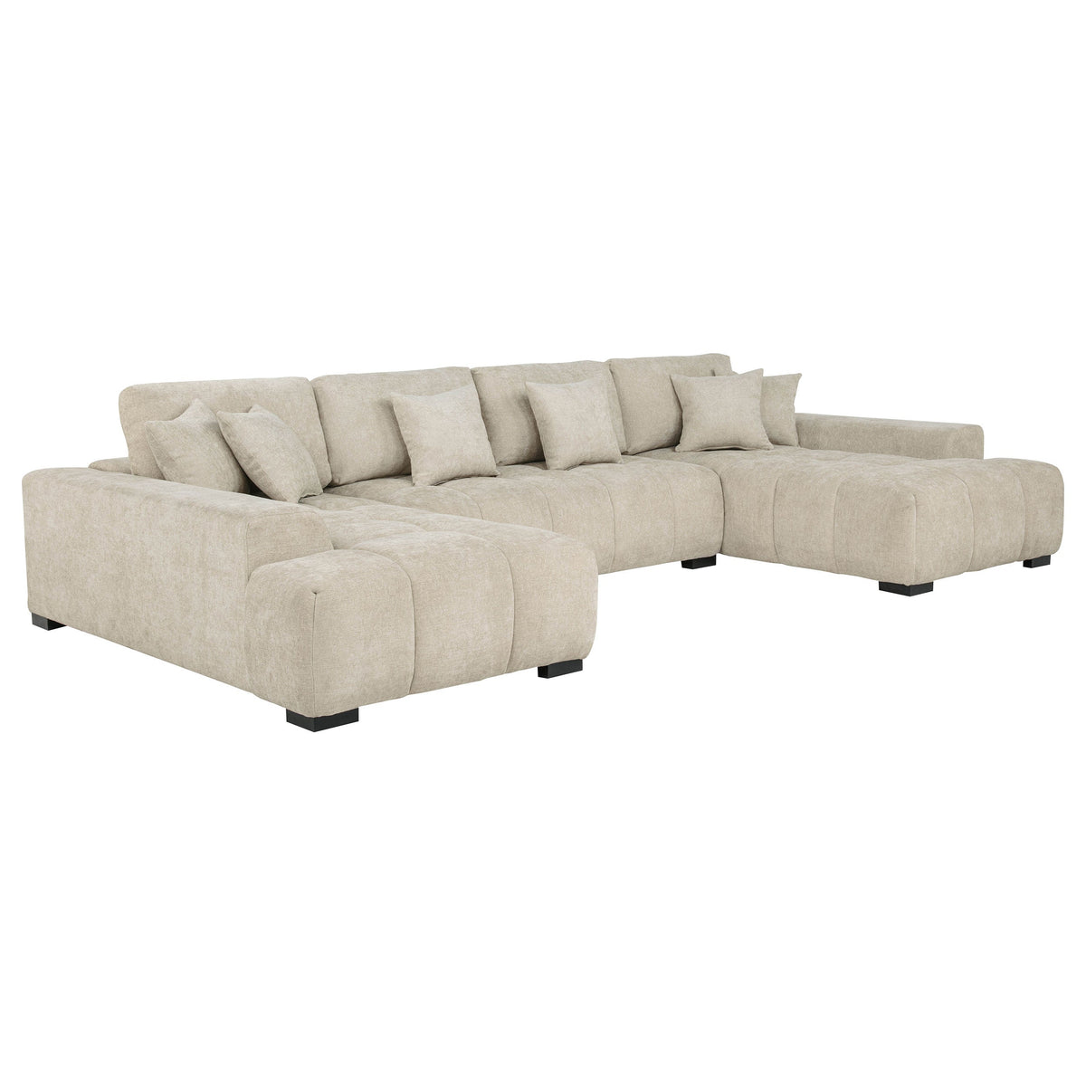 Cannella Stationary Sectionals