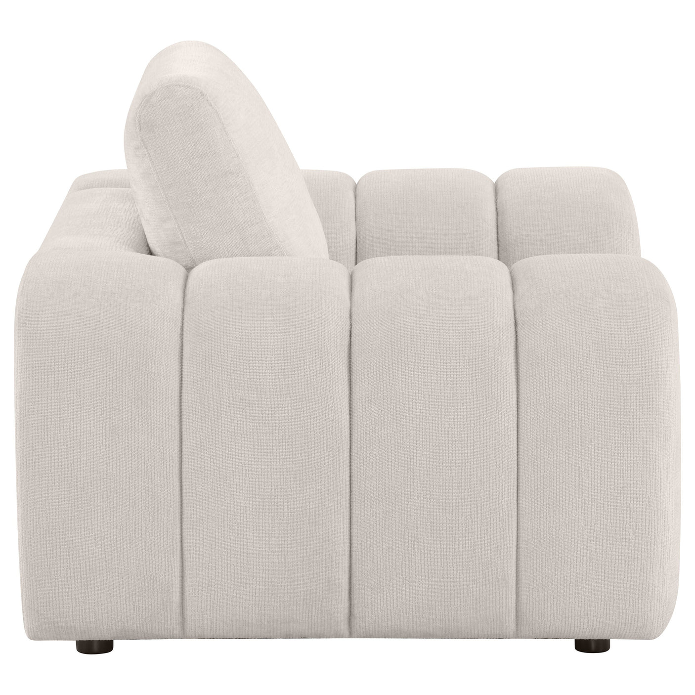 Burnett Chenille Upholstered Accent Chair