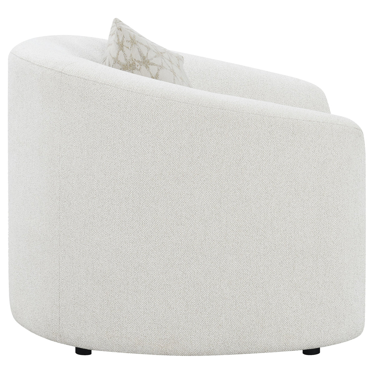 Rainn Accent Chairs