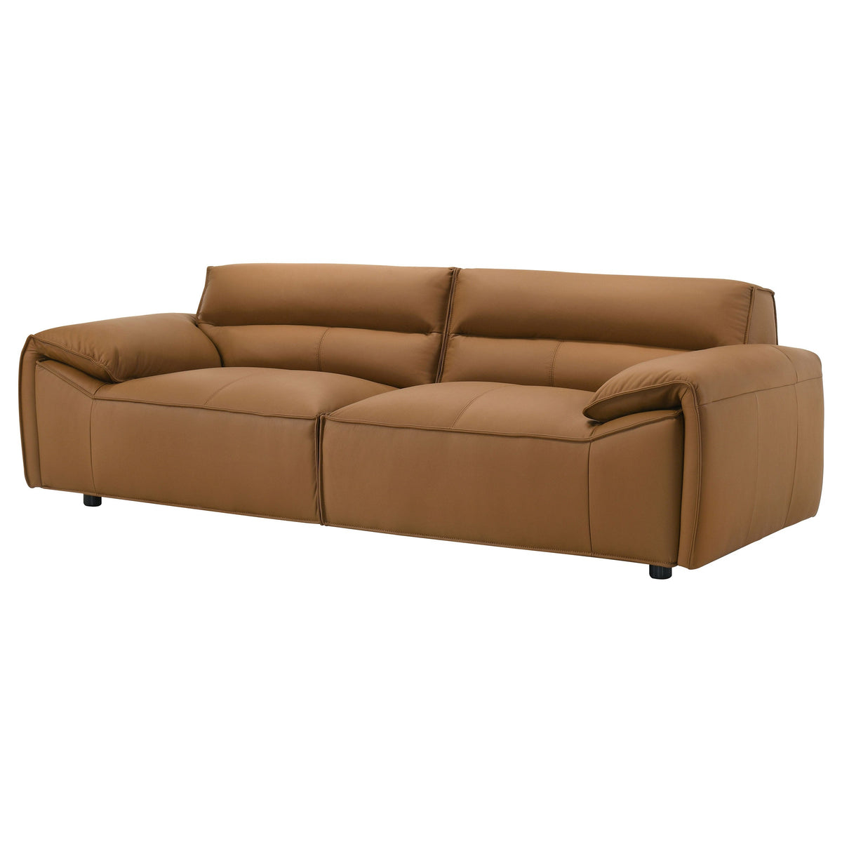 Buxton Stationary Sofas