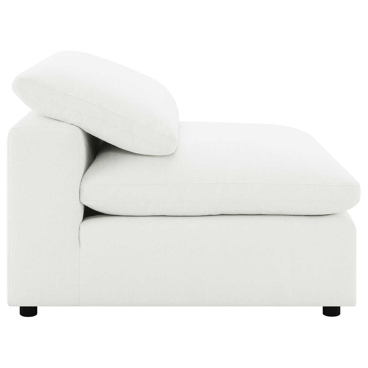 Raleigh Accent Chairs