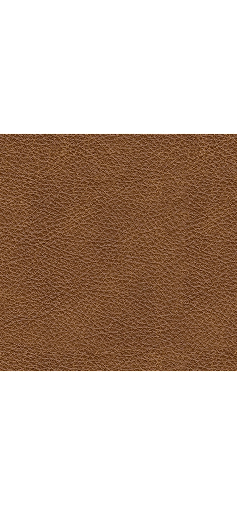 Carianna Accent Chairs