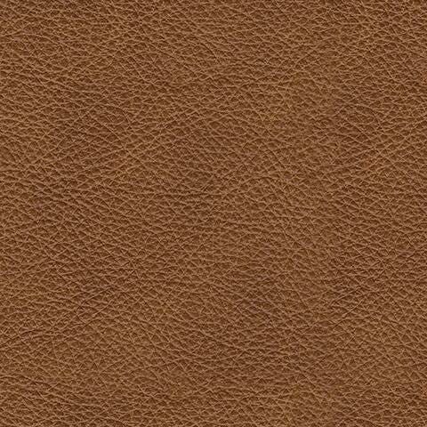 Carianna Stationary Loveseats