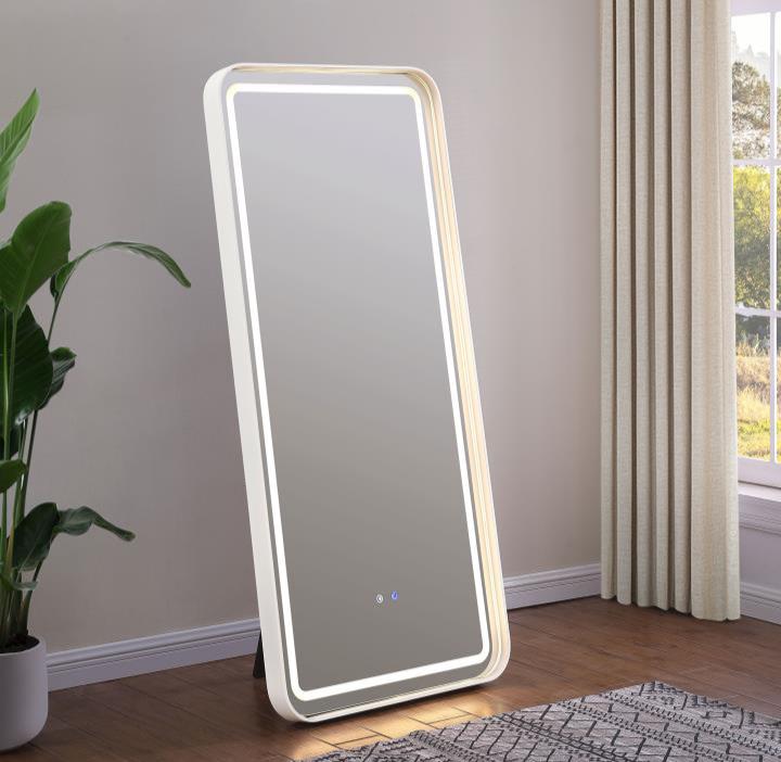 Glendora LED Standing Floor Mirror