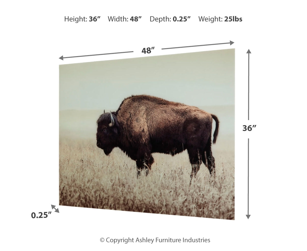 Brutus Wall Art