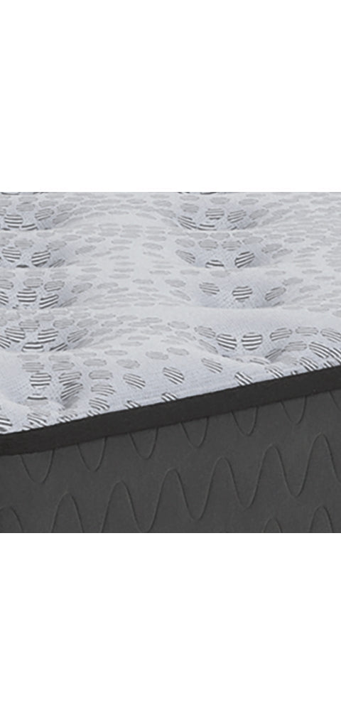 Comfort Plus Mattresses