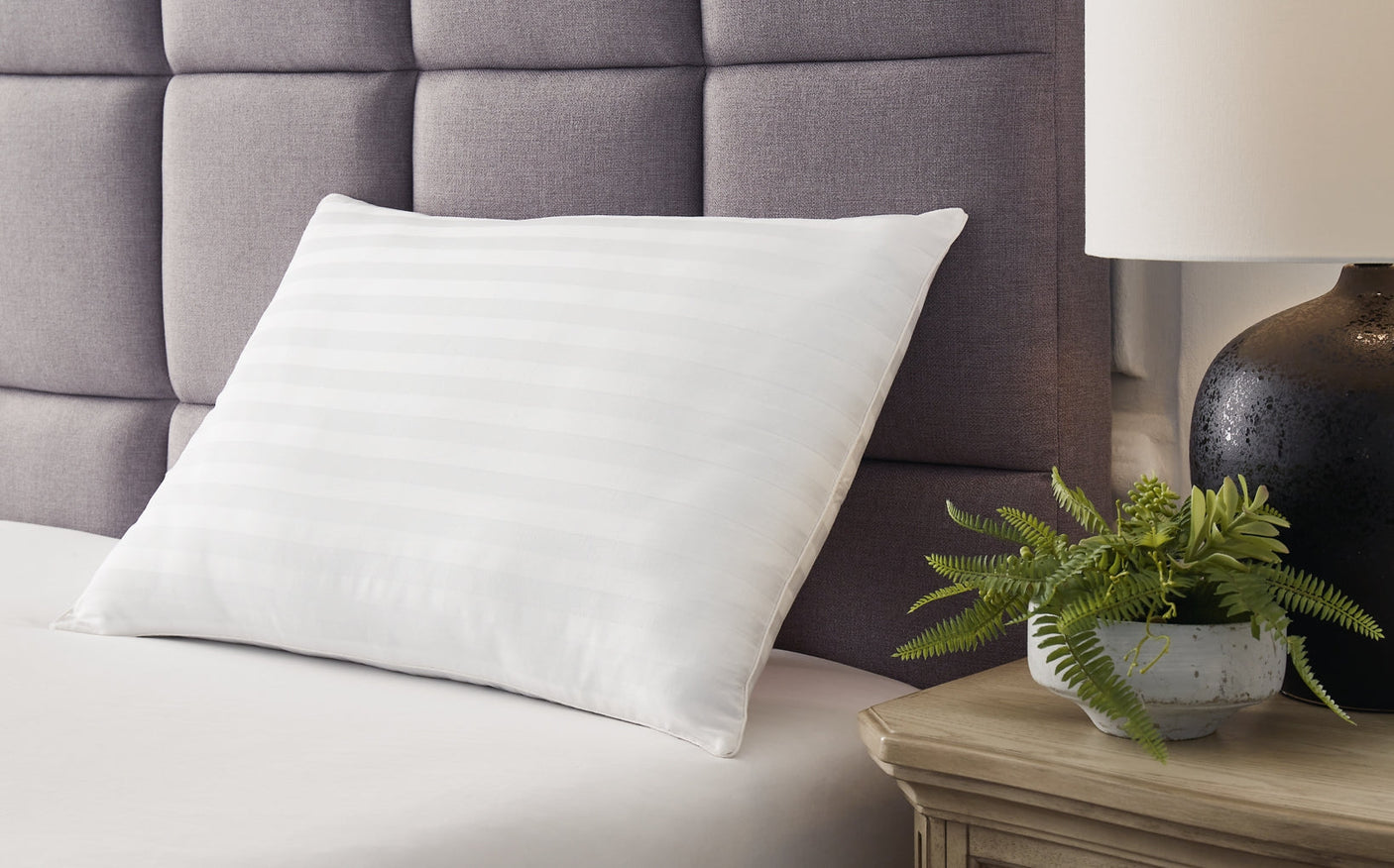 Zephyr Bed Pillows