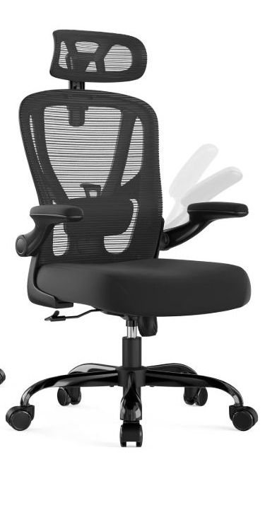 Ergonomic Desk Chair