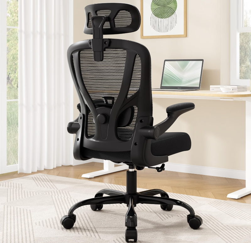 Ergonomic Desk Chair