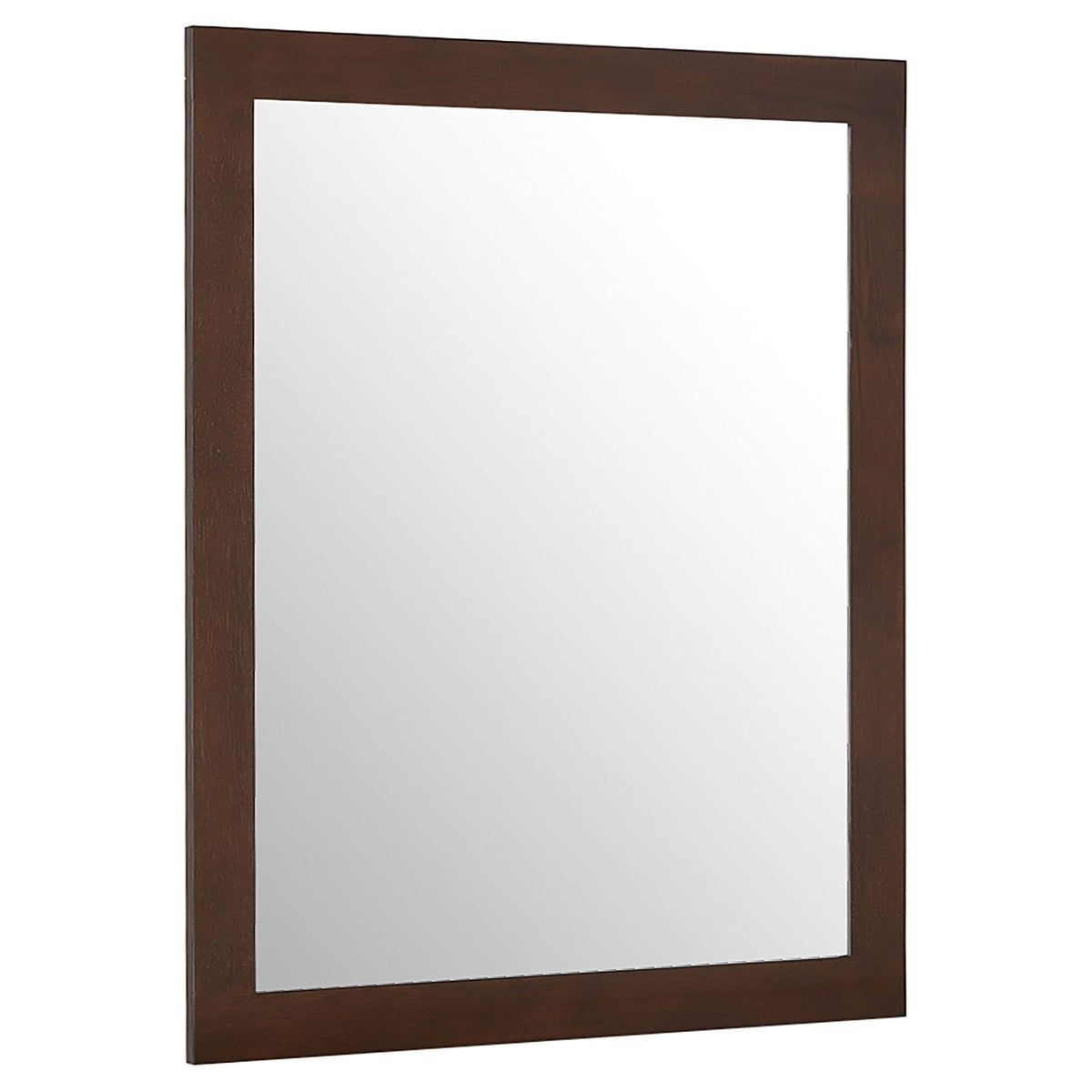 Jessica Dresser Mirrors