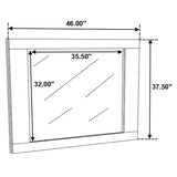 Felicity Dresser Mirrors
