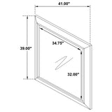 Kauffman Dresser Mirrors