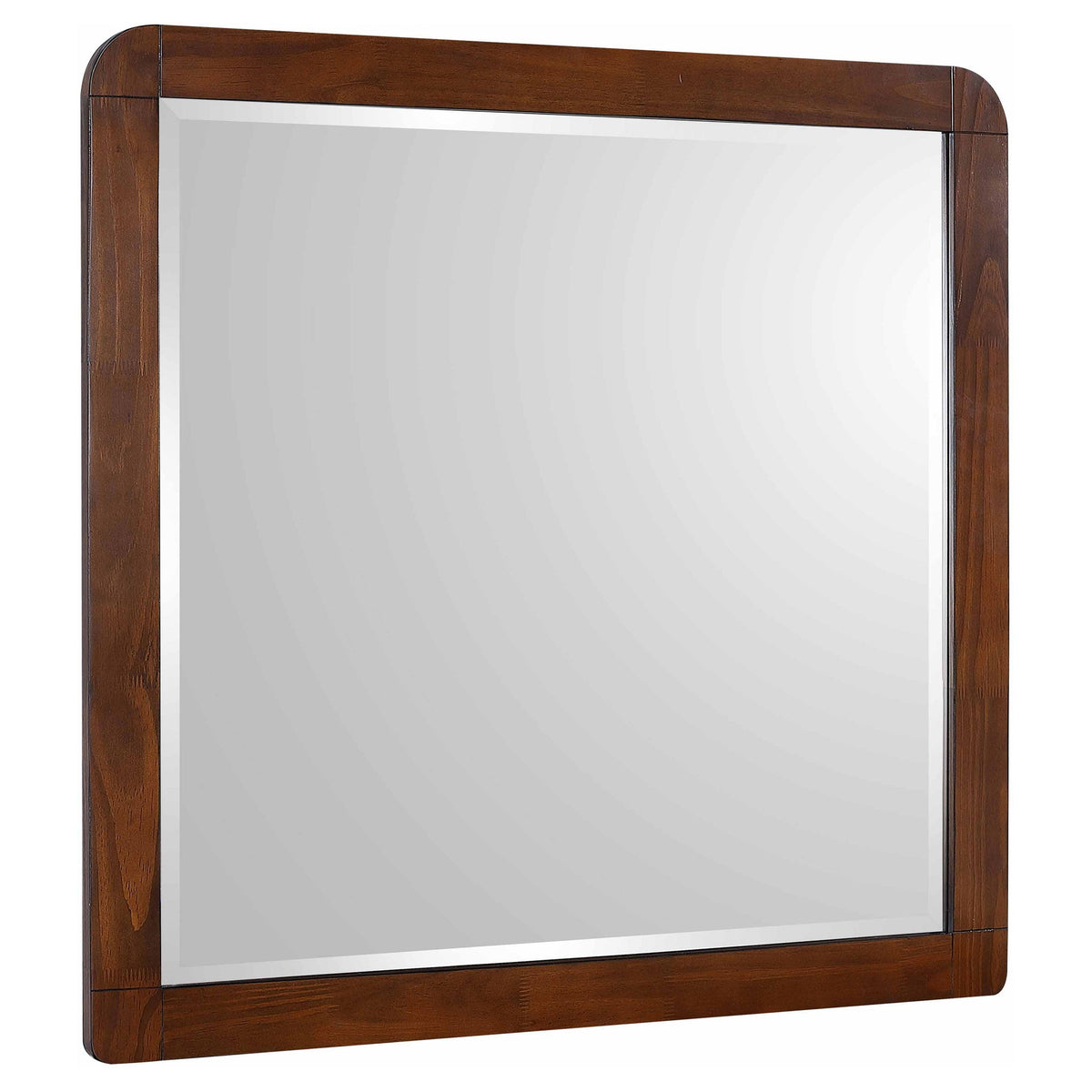 Robyn Dresser Mirrors