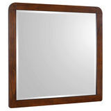 Robyn Dresser Mirrors