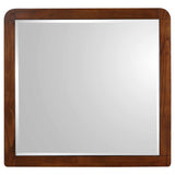 Robyn Dresser Mirrors