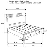 Hazlewood 59-inch Panel Storage Bed Vineyard Oak