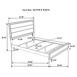 Watson Beds