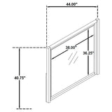 Leandro Dresser Mirrors