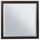 Emberlyn Dresser Mirrors