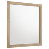 Arielle Dresser Mirrors