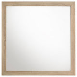 Arielle Dresser Mirrors