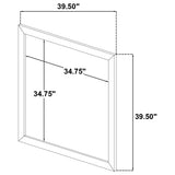 Arielle Dresser Mirrors