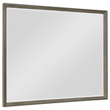 Durango Dresser Mirrors