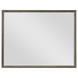 Durango Dresser Mirrors