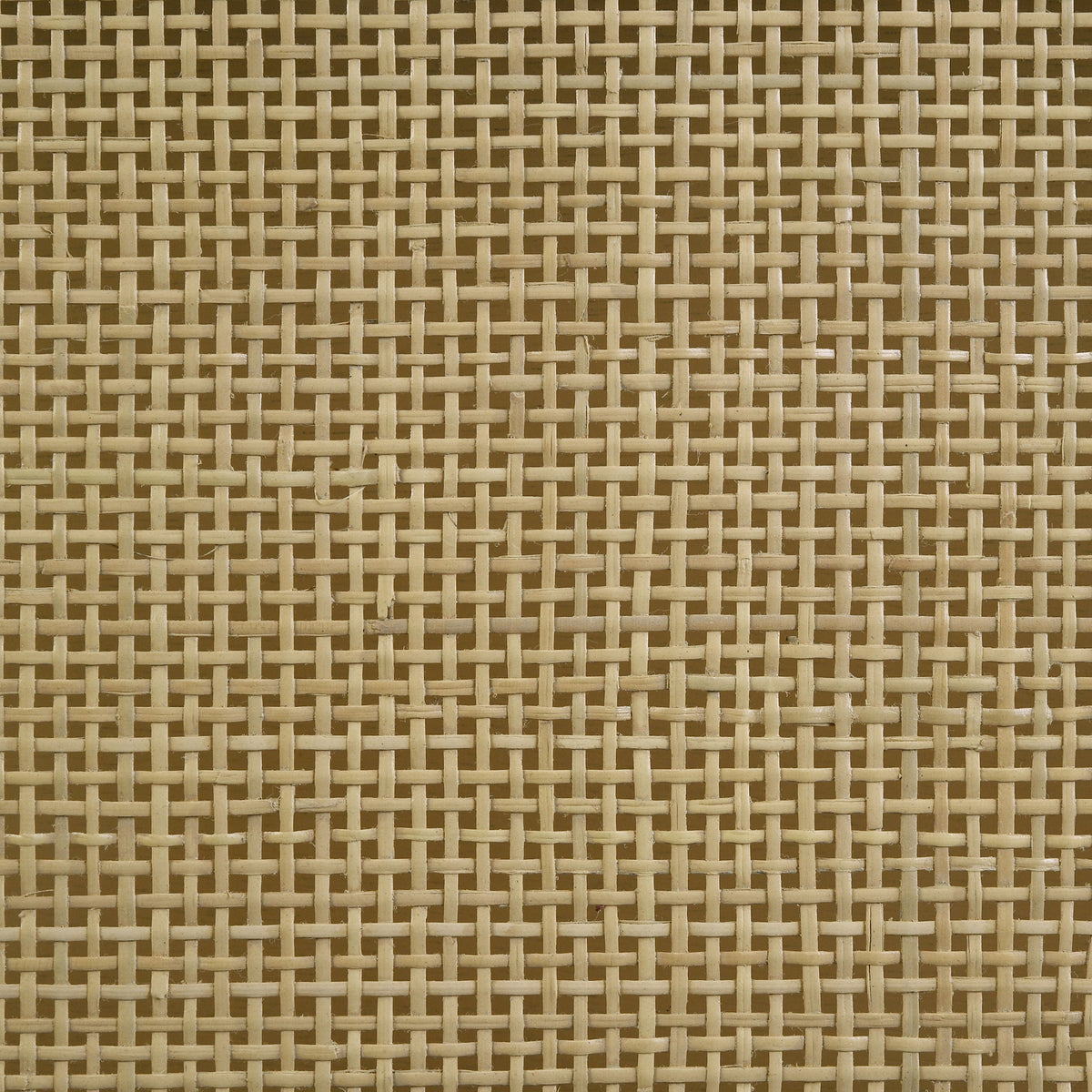 Arini Beds