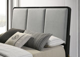 Arini Beds