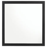 Kendall Dresser Mirror Black