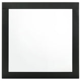 Caraway Dresser Mirrors