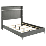 Lucia 61-Inch Upholstered Wingback Bed