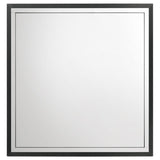 Lucia Dresser Mirror