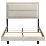 Trenton Beds