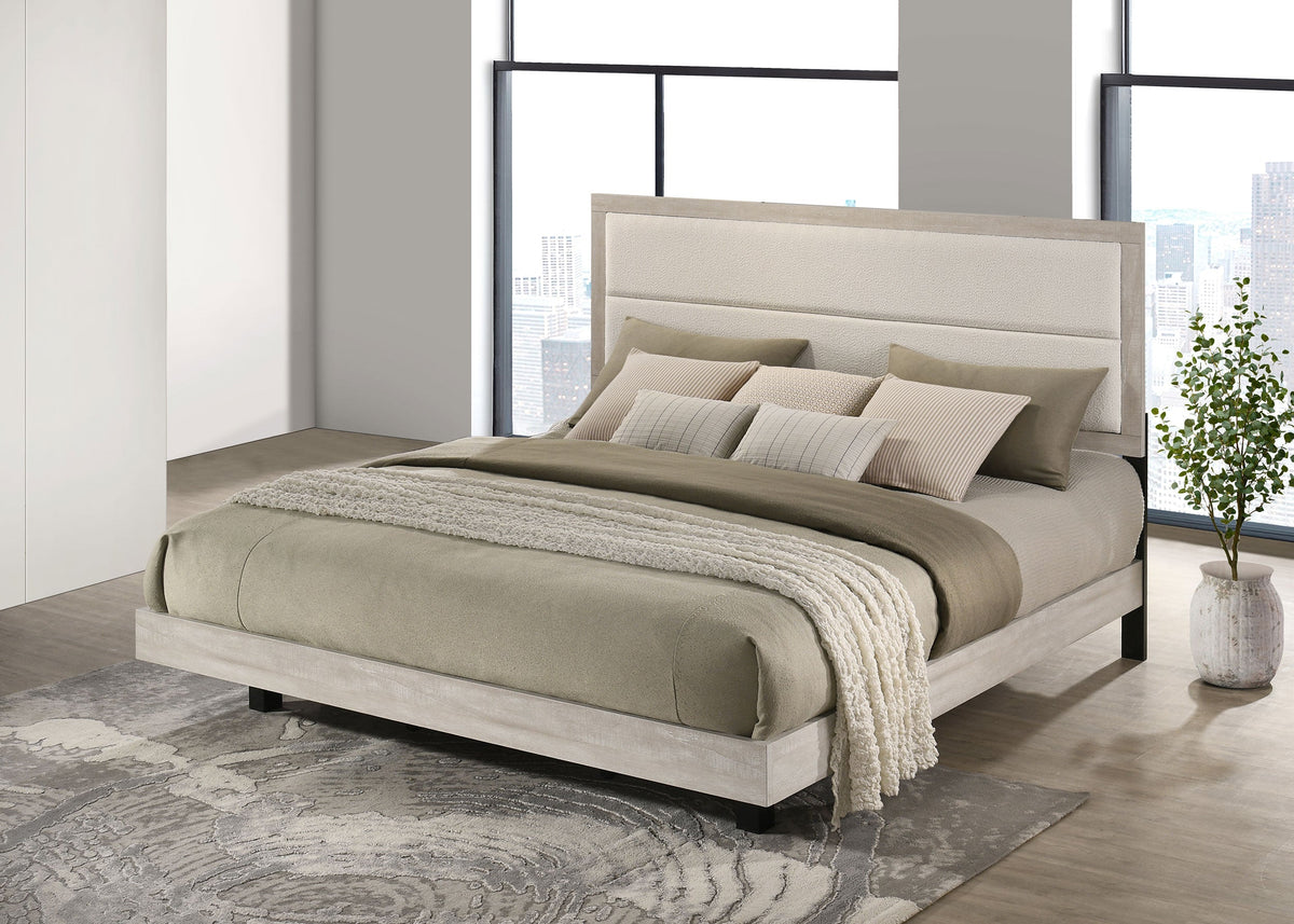Trenton Beds