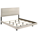 Trenton Beds