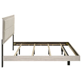 Trenton Beds