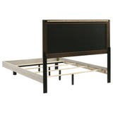 Trenton Beds