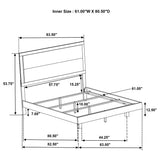 Trenton Beds