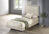 Trenton Beds