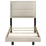 Trenton Beds