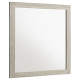 Trenton Dresser Mirrors