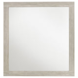 Trenton Dresser Mirrors