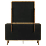 Robyn Dresser with Mirrors